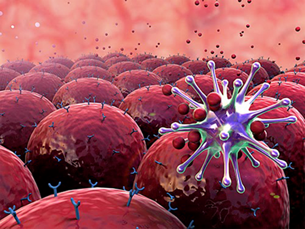 Kích hoạt tế bào NK sẽ giúp tăng hệ miễn dịch tự nhiên cho người ung thư