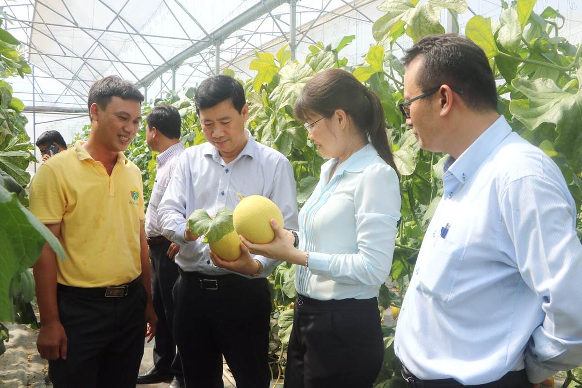 Ông Phạm Thiện Nghĩa, Phó chủ tịch UBND tỉnh Đồng Tháp (thứ 2 từ trái qua), tìm hiểu hoạt động của doanh nghiệp đầu tư lĩnh vực nông nghiệp trên địa bàn tỉnh - Ảnh: Trần Ngọc 