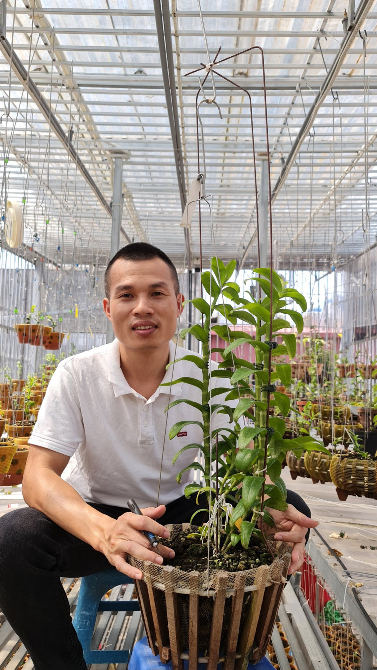 Bên cạnh công việc kinh doanh, Hoangnam Jsc còn có niềm đam mê hoa lan