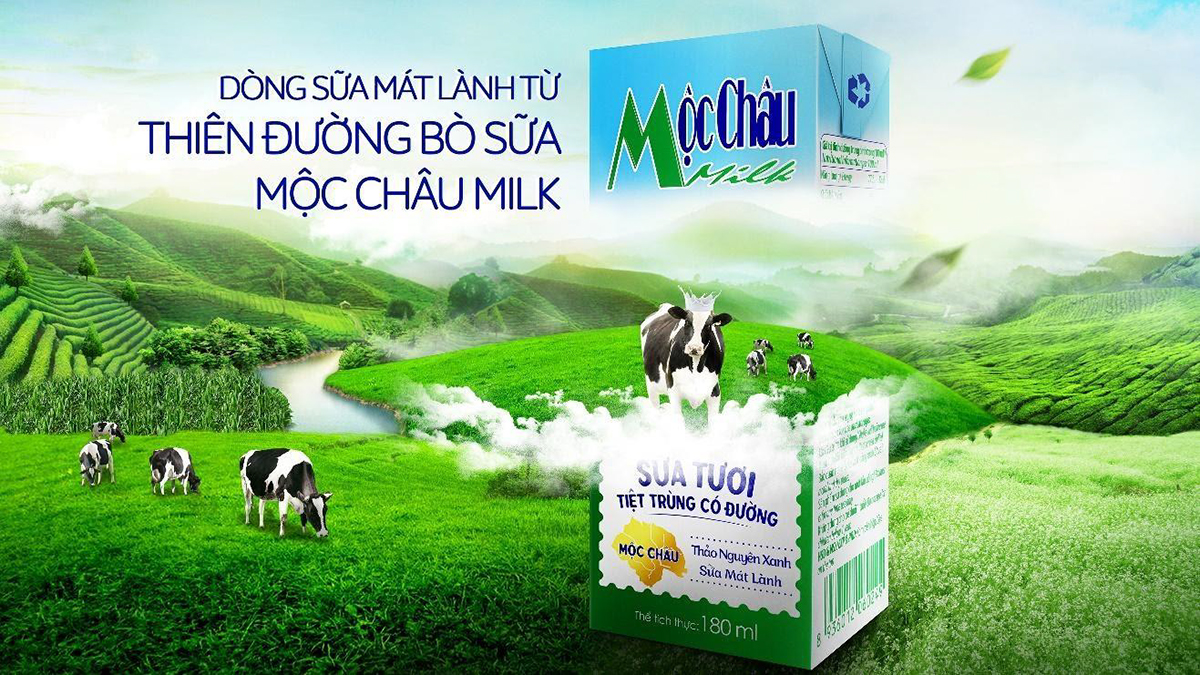 Mộc Châu Milk tự hào mang đến dòng sữa mát lành từ thiên đường bò sữa Mộc Châu