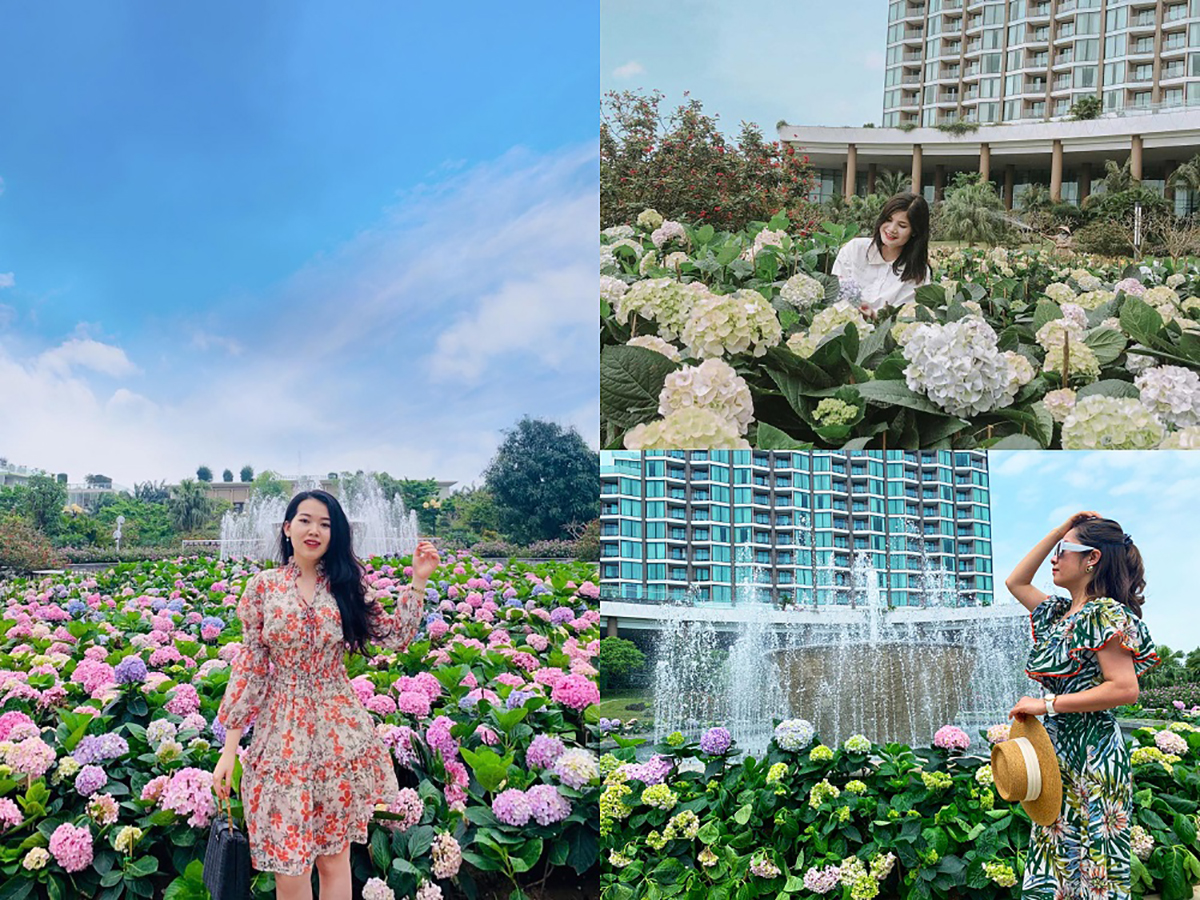 Ảnh 3: Điểm check-in được yêu thích nhất chính là vườn hoa cẩm tú cầu cùng những bức ảnh ngọt ngào như thước phim Hàn Quốc (Ảnh: FLC Sầm Sơn)