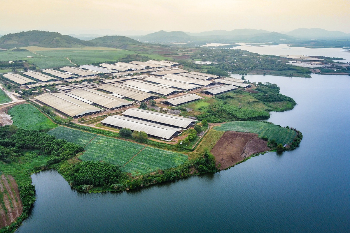 Trước giải Vàng CLQG 2019-2020, Công ty CP Thực phẩm sữa TH còn xác lập kỷ lục “Cụm trang trại tập trung ứng dụng công nghệ cao với quy trình sản xuất khép kín quy mô lớn nhất thế giới”
