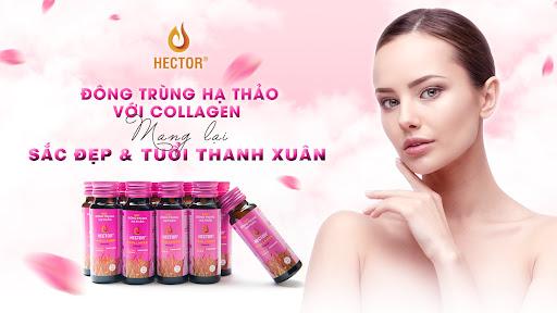 Đông trùng hạ thảo Hector Collagen có hiệu quả không ?