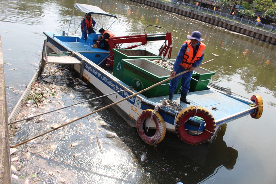 Dùng ca nô "cào" cá chết trên kênh Nhiêu Lộc - Thị Nghè - Ảnh: Đức Tiến 