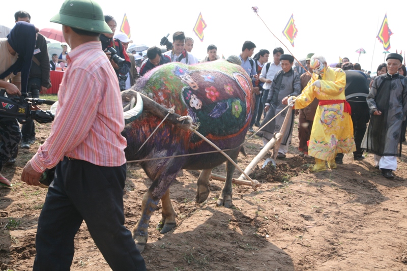 Tich dien,Doi Son,Le Dai Hanh