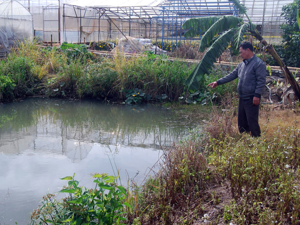 Làng hoa khát nước sạch