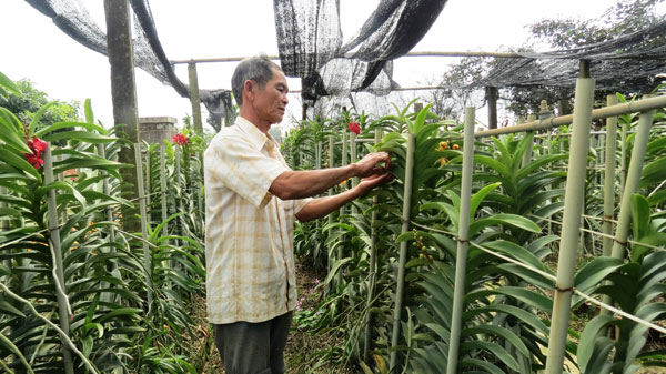 Làng hoa trên đất Huế