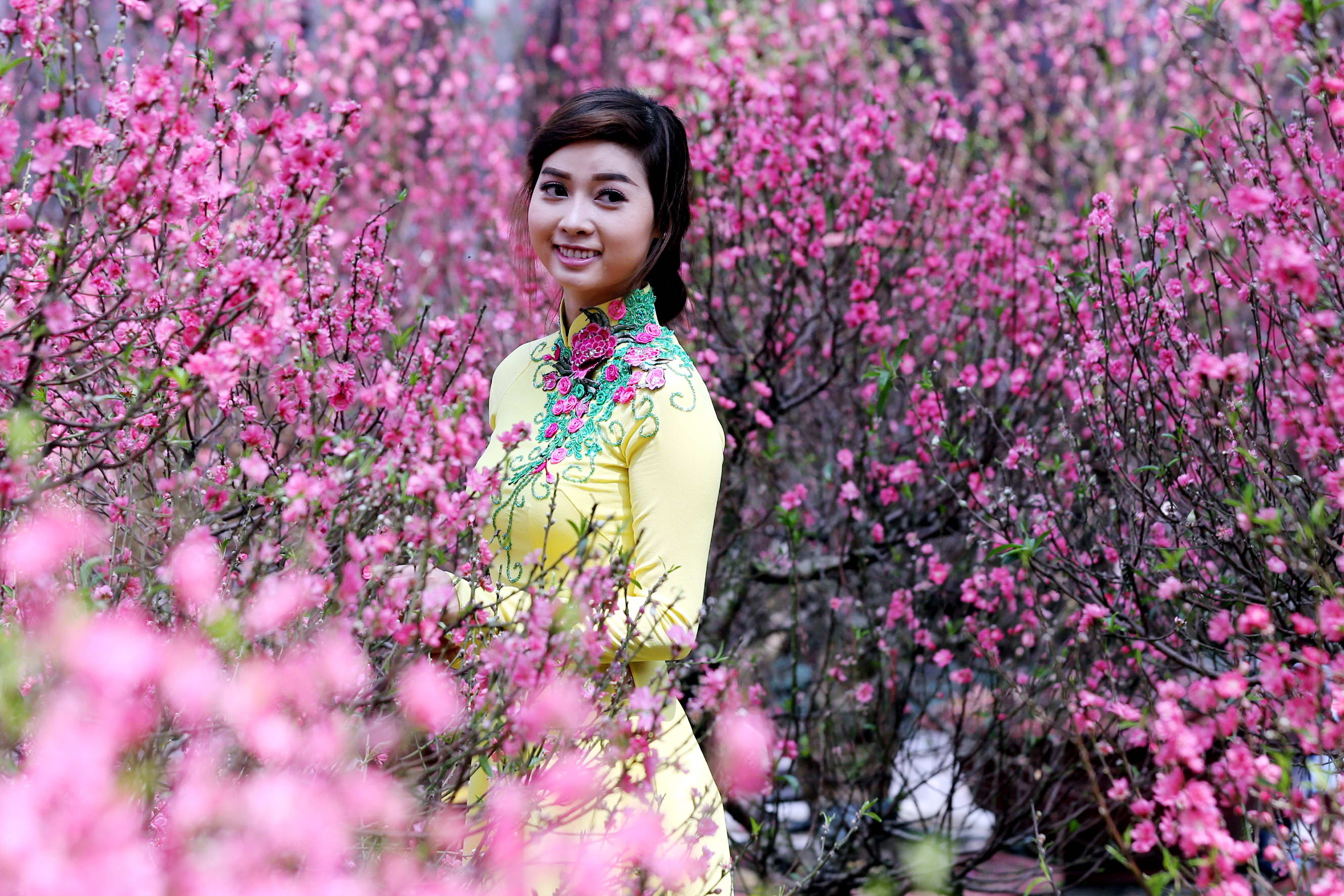 Hoa đào miền Bắc khoe sắc trong nắng xuân Sài Gòn