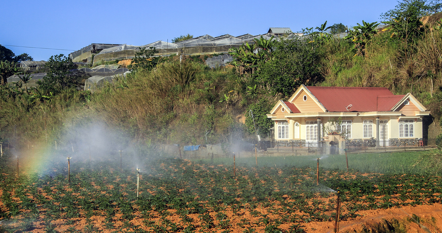 Tưới tiết kiệm nước: Xu thế mới trong sản xuất nông nghiệp