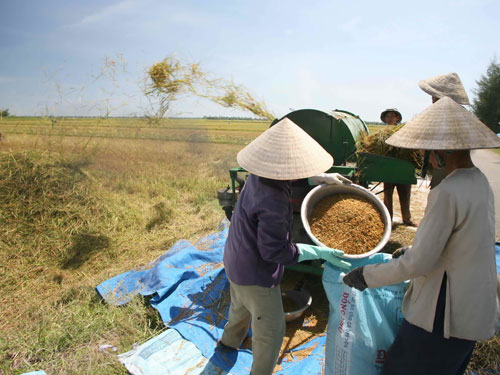 Người dân ở vùng nông thôn vẫn còn chủ yếu sống bằng nghề nông - Ảnh: Bạch Dương
