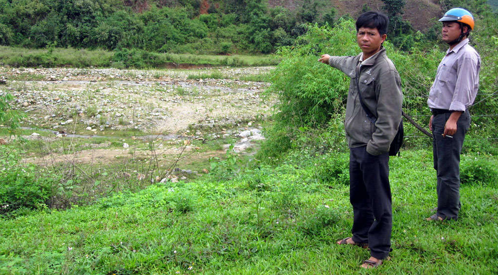 Lúa bỏ hoang vì chờ thủy lợi