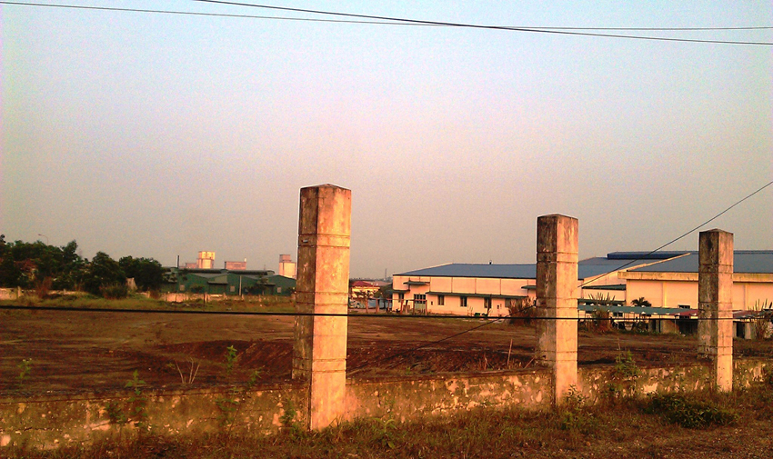 Sau khi thuê, nhiều khu đất bị bỏ hoang gây lãng phí
- Ảnh: Nguyễn Phúc
