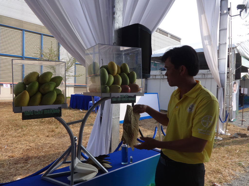 Thành viên Câu lạc bộ Chuyên gia cây ăn trái Bayer - anh Huỳnh Hữu Lộc cho rằng người trồng trái cây Việt Nam cần được các chuyên gia hỗ trợ về kĩ thuật