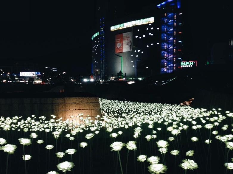 Ngắm những bông hồng LED sẽ là 1 trải nghiệm nghệ thuật về đêm khi du lịch Seoul