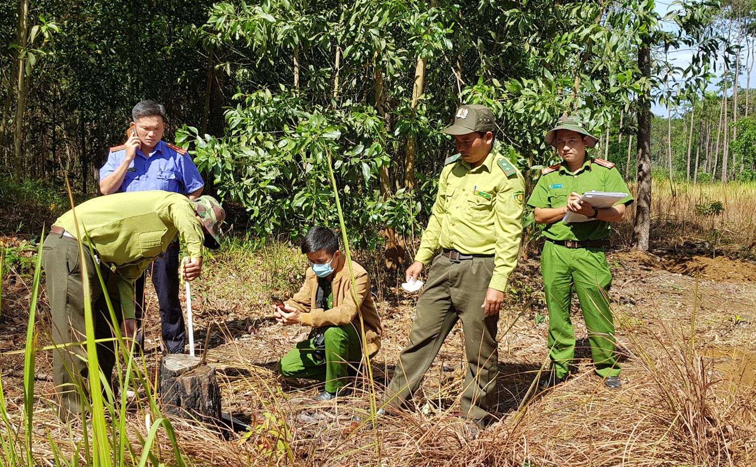 Vì đâu rừng Lâm Đồng tan hoang ?: Rừng cộng đồng “chia năm xẻ bảy”