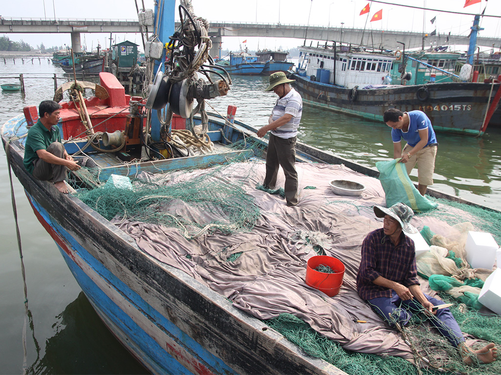 Hoàng Sa xa mà gần: Khát vọng vụ nam