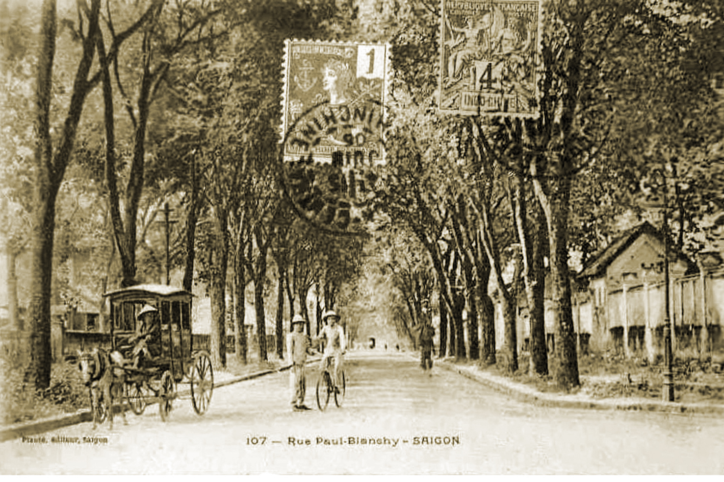 Cây xanh trên đường Paul Blanchy, nay là đường Hai Bà Trưng. Ảnh chụp năm 1906 - Ảnh tư liệu của nhiếp ảnh gia Tam Thái