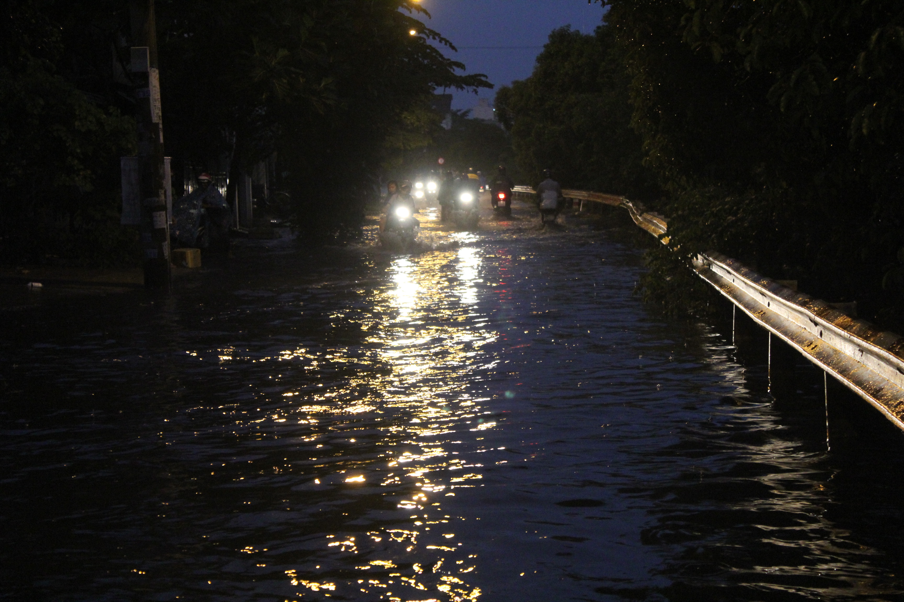 Đường Tô Hiệu nằm cạnh con kênh Tô Hiệu nên mỗi khi mưa, nước kênh tràn vào bốc mùi hôi thối