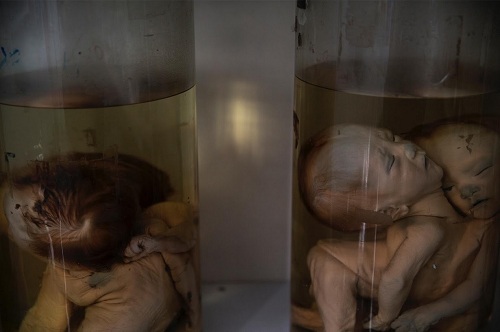 agentorange-reuters-500_RTHU.jpg