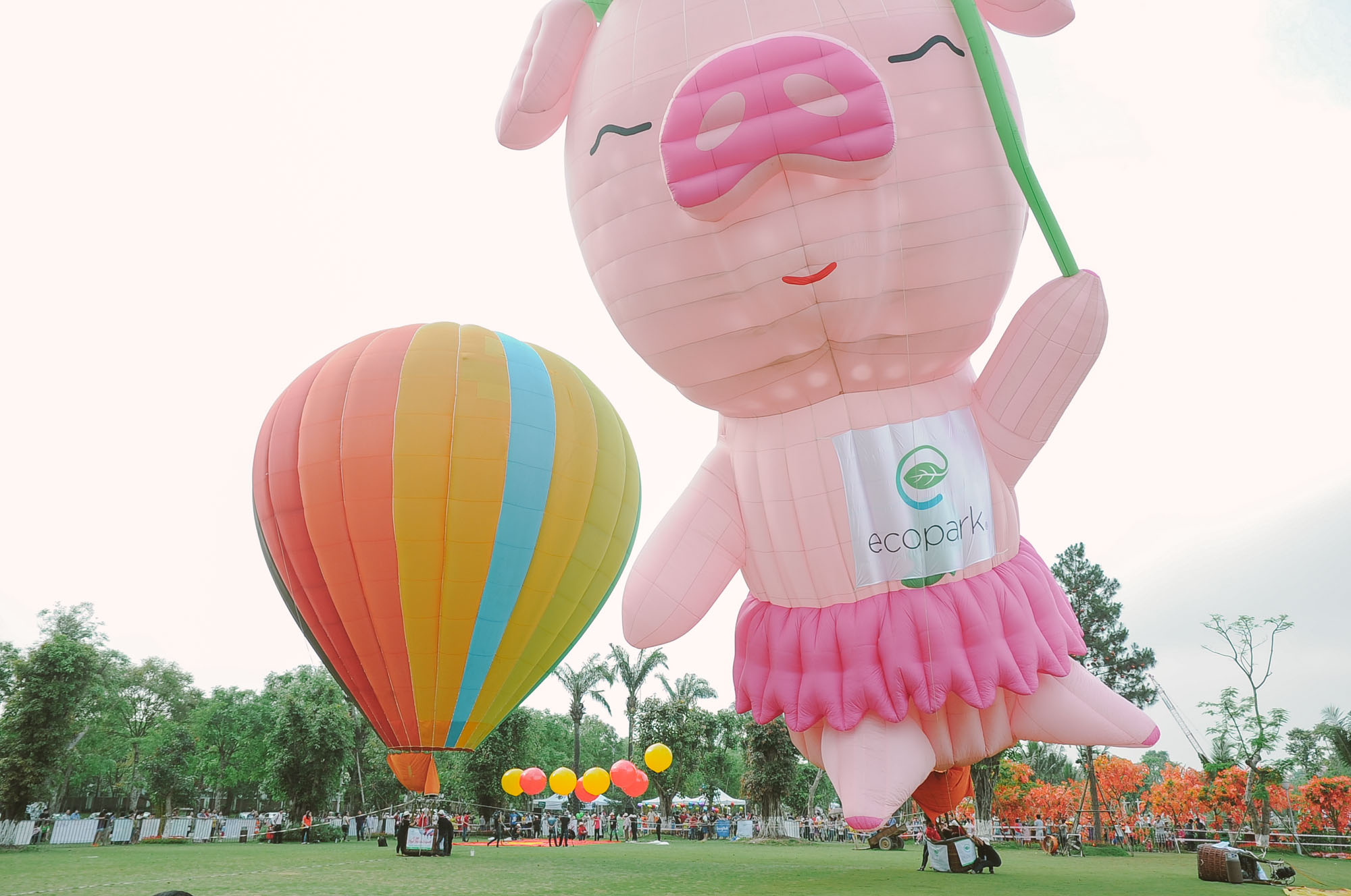 huy-lịch-bay-khinh-khi-cau-Ecopark-hang-ngan-du-khach-that-vong