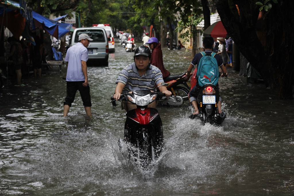 lut-o-hai-phong