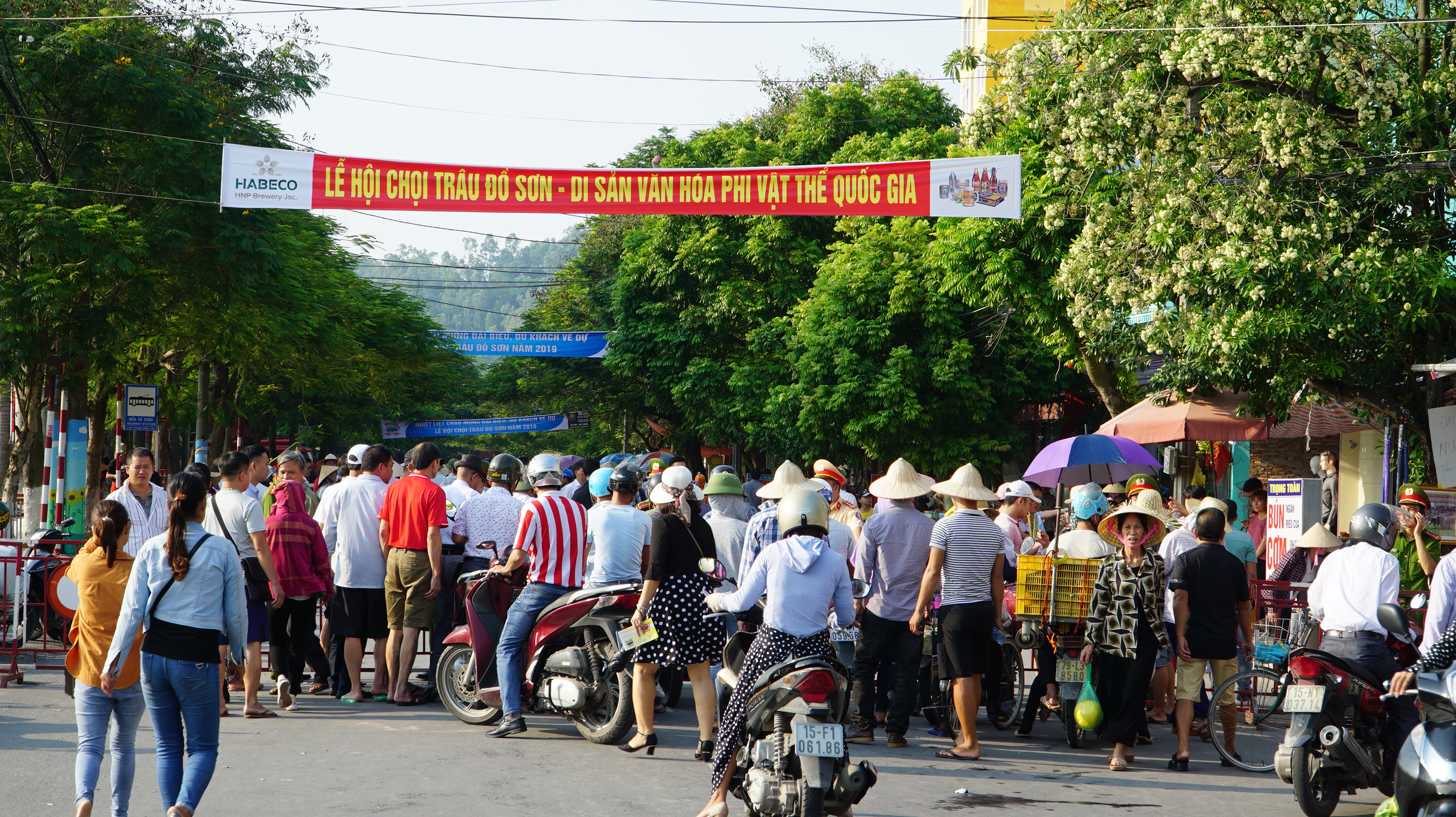 chọi-trau-nam-2019