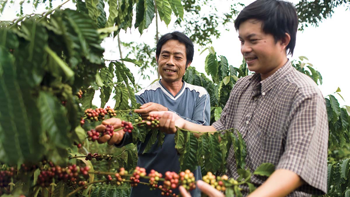 Olam đang đồng hành mật thiết cùng nông dân Việt Nam để tạo nên một hệ sinh thái cà phê khỏe mạnh