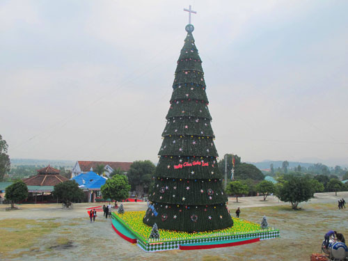 Cây thông Noel cao 41 m ở Nghệ An 9