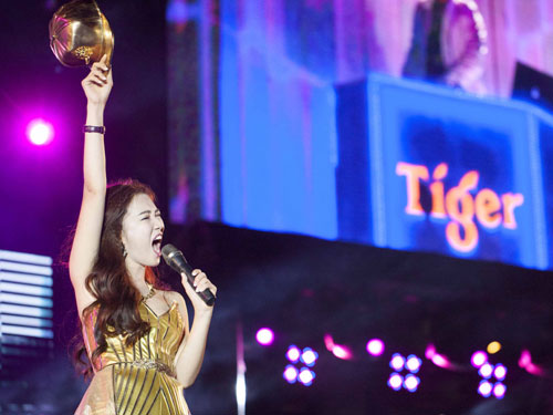 Tưng bừng đêm nhạc Tiger Remix 2015 tại TP.HCM 1