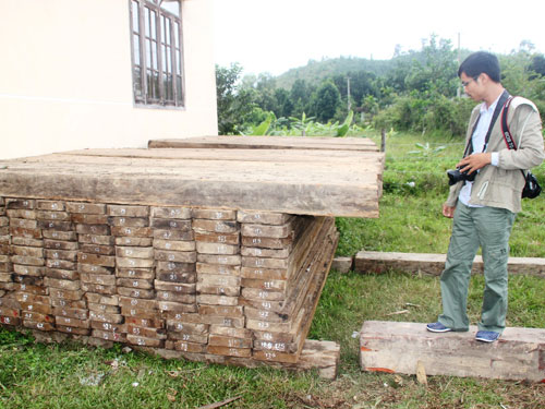 Quảng Nam: Tịch thu gần 20 m3 gỗ bị khai thác trái phép