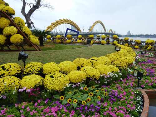 Khai trương đường hoa xuân Bạch Đằng – Đà Nẵng 2015 11
