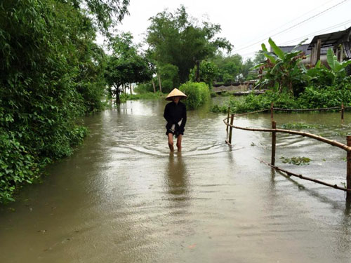 Quảng Trị: Ngập lụt bất thường giữa mùa nắng 3