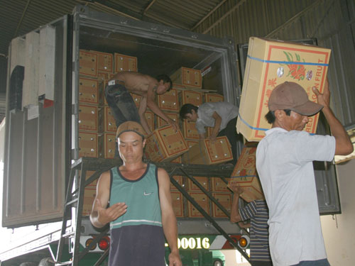 Hàng nghìn tấn thanh long đang “chết cứng” tại cửa khẩu Lạng Sơn