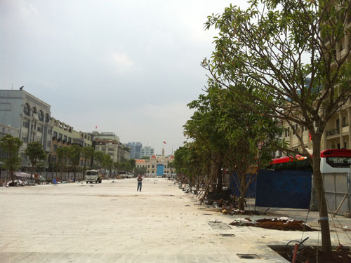 TP.HCM thay mới cây xanh trên đường Nguyễn Huệ