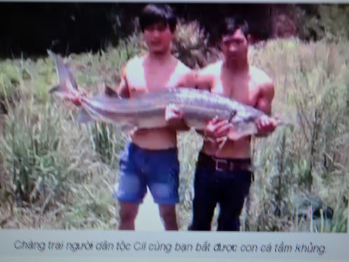 Sự thật việc thanh niên người Cil bắt được 2 con cá tầm “khủng” 6