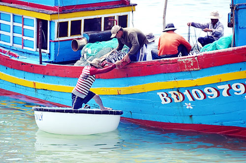 Bình Định: Ngư dân trúng đậm cá lồ ồ 1