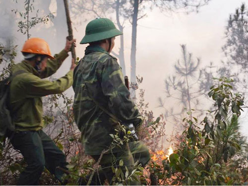 Cháy rừng tại Nghệ An 2