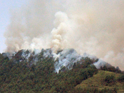 Cháy rừng dữ dội tại Thanh Hóa 2