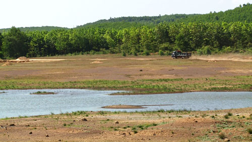 Quảng Trị: Gần 3.000 ha đất trồng lúa vụ hè thu có nguy cơ bỏ hoang 3