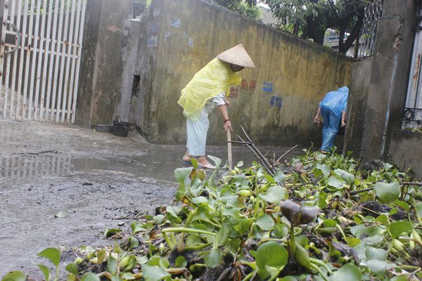 Tuổi trẻ Quảng Ninh giúp người dân khắc phục hậu quả lũ lụt 5