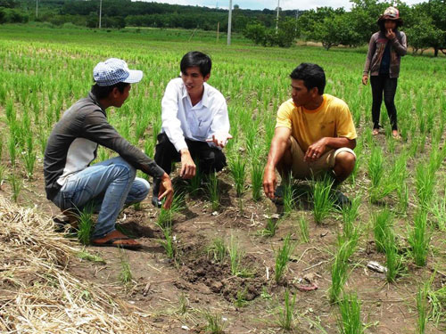 Bị sét đánh, một người chết, 3 người bị thương