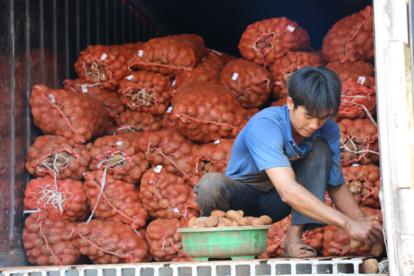 Khoai tây Trung Quốc tràn ngập chợ Nông sản Đà Lạt 1
