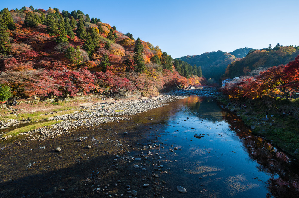 Mùa lá đỏ Nhật Bản