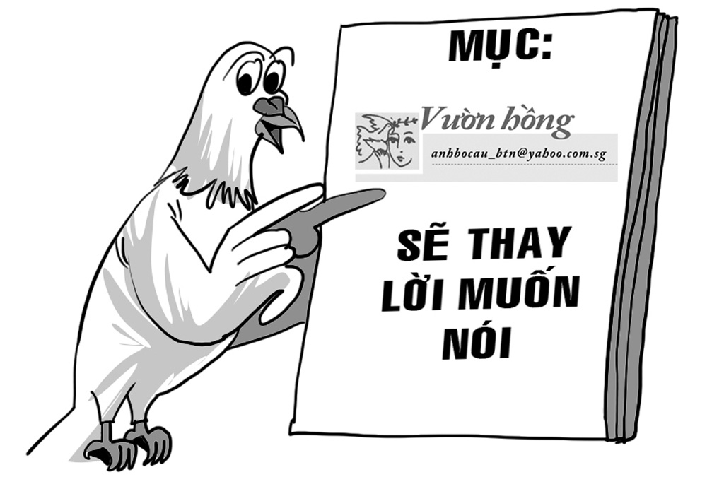 Vườn hồng