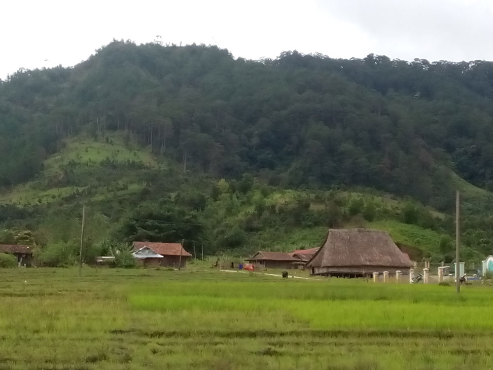 Những tập tục còn sót lại ở Tây nguyên - Kỳ 4: Người Tà Rẻ ở thung lũng Bãi Nai với tục treo đầu trâu ở nhà rông 6