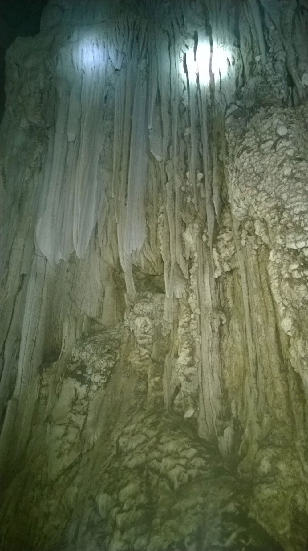 Đi tìm mật ong, phát hiện ra hang động tại Phong Nha-Kẻ Bàng 2