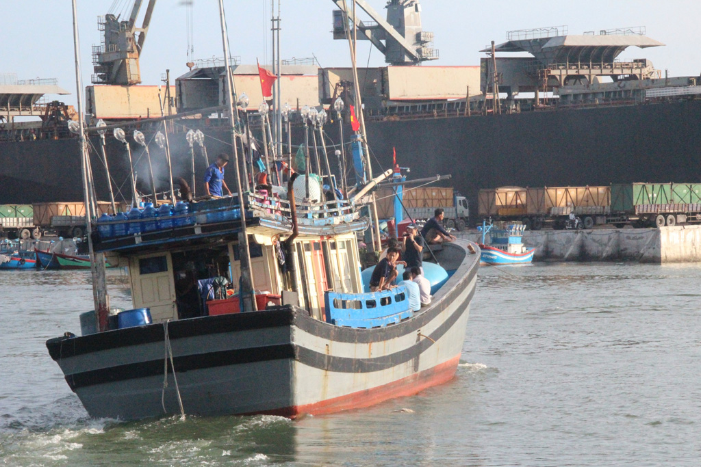 Chuyên gia Nhật trực tiếp hướng dẫn ngư dân Bình Định khai thác cá ngừ 3