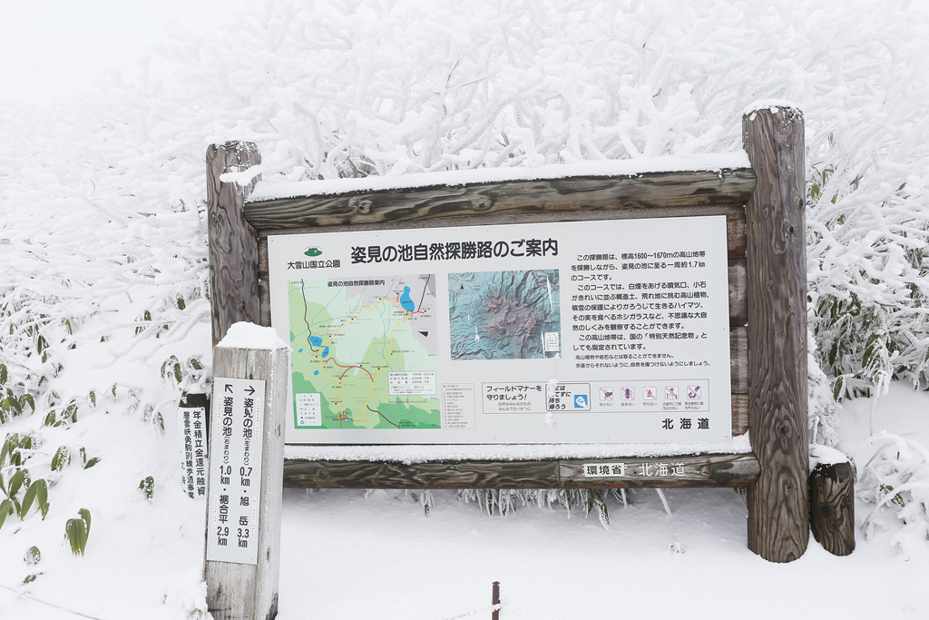 Trải nghiệm từ thu sang đông - Bài 2: Ngắm tuyết trên đỉnh Asahidake 13