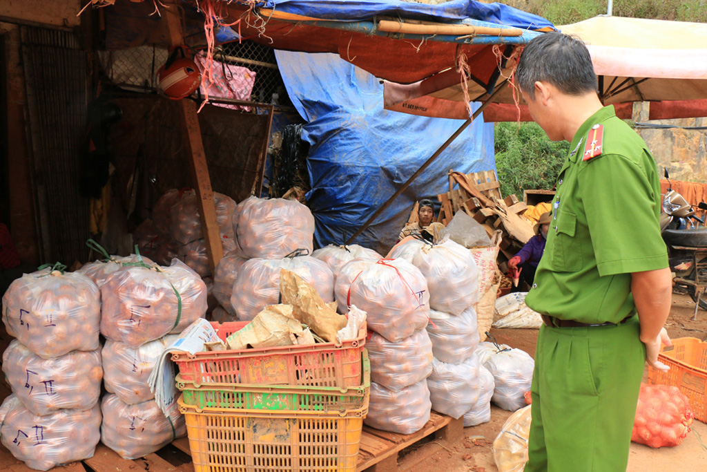 Chợ nông sản Đà Lạt: Sau một ngày “cấm cửa” khoai Trung Quốc 6