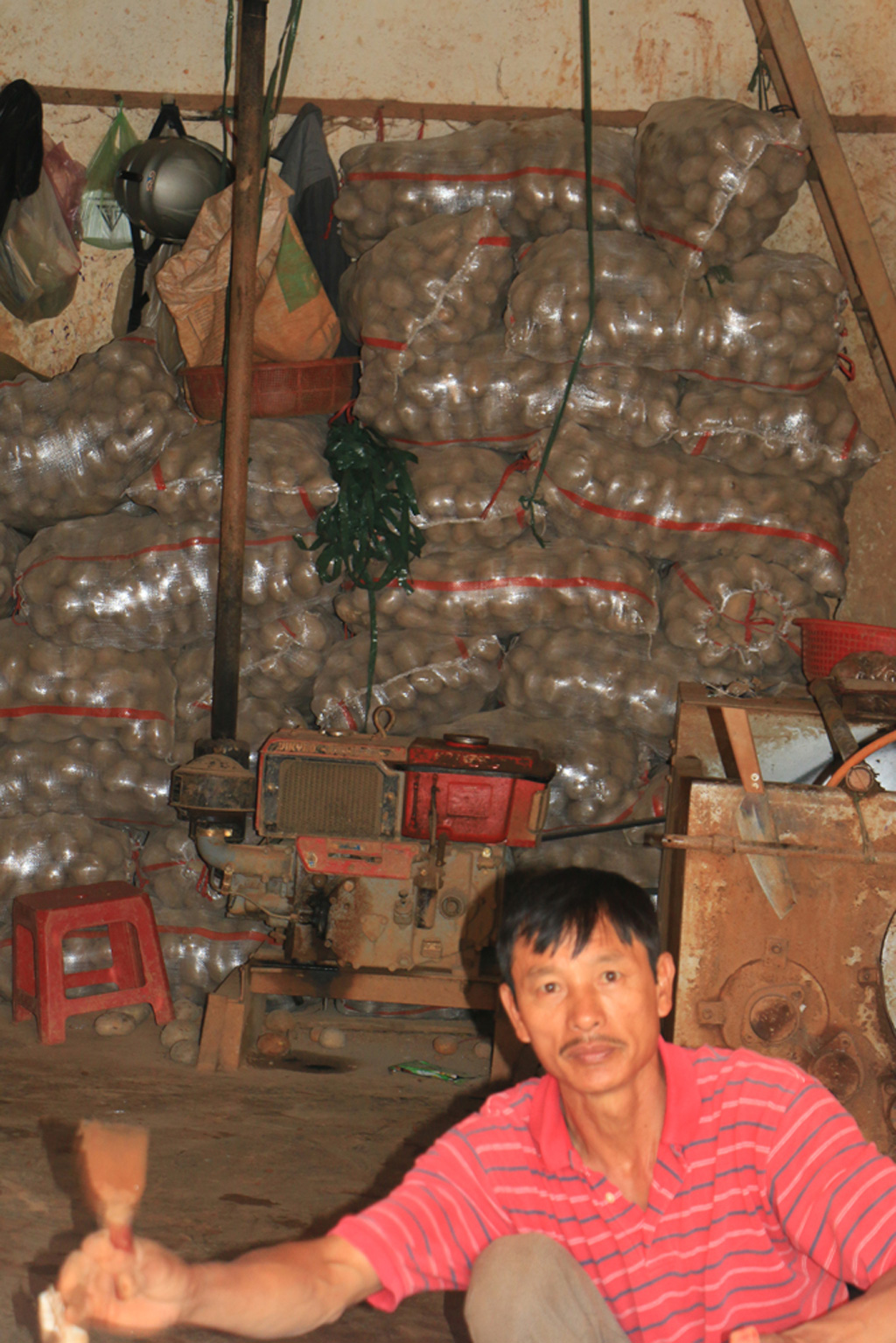 Chợ nông sản Đà Lạt: Sau một ngày “cấm cửa” khoai Trung Quốc 7